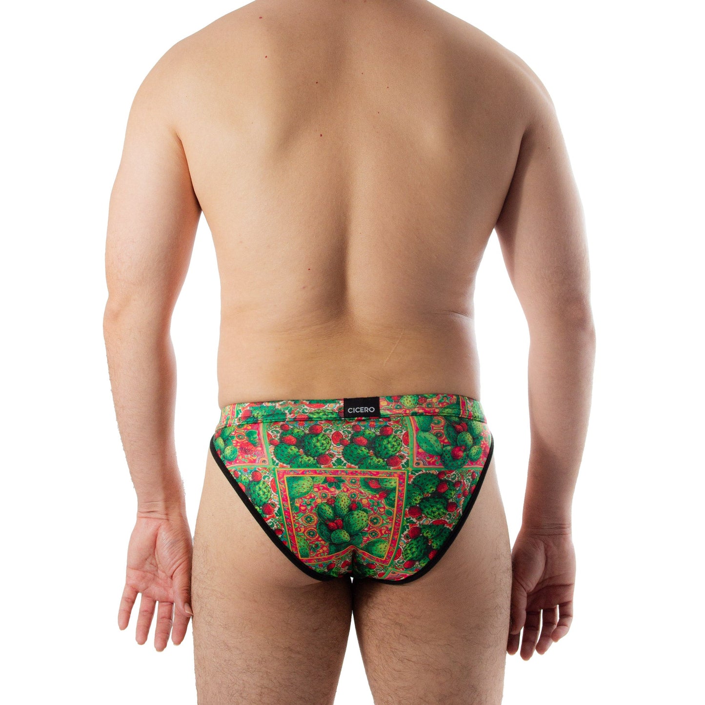 SB0071 Brief Bikini mexicanidad Nopal skinit