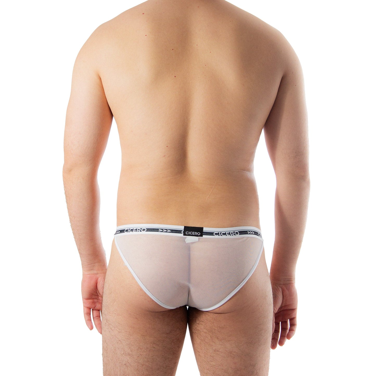 SB0061 Brief Bikini Ivory Whisper Mesh blanco total skinit