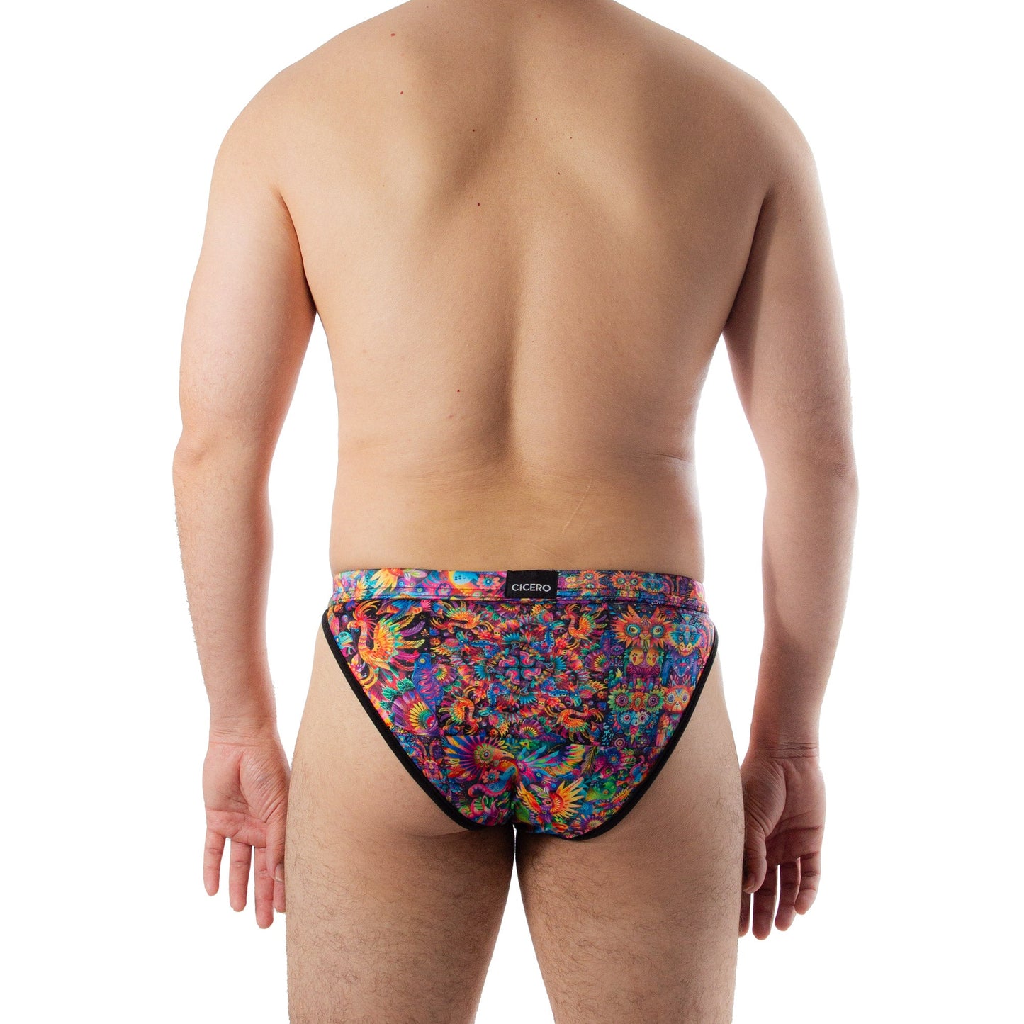 SB0070 Brief Bikini mexicanidad Alebrije skinit