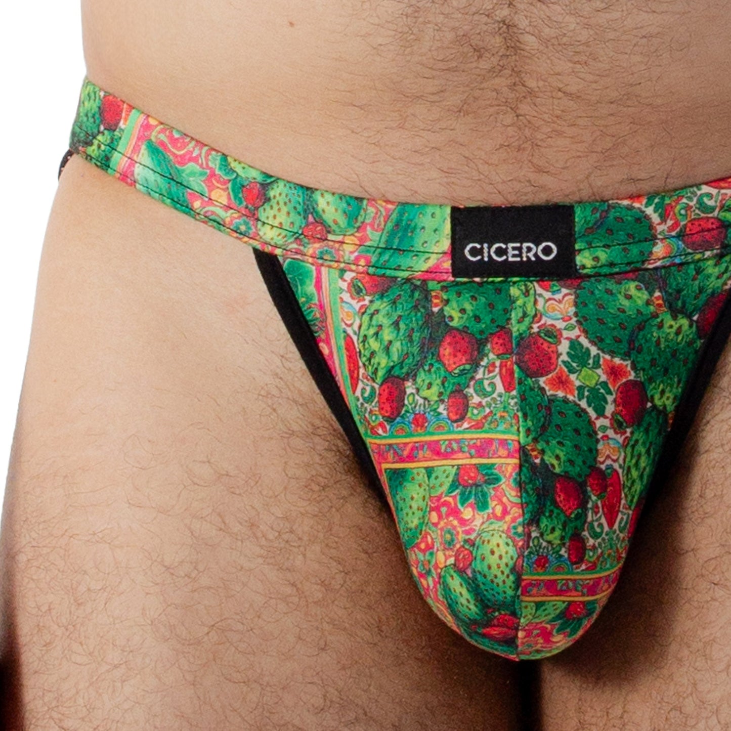 SB0071 Brief Bikini mexicanidad Nopal skinit